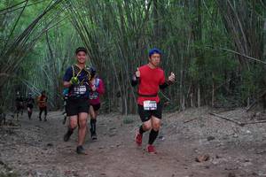 BIB: 3803, 3612
                            <button type="button" onclick="openModal(4346688)" class="btn btn-primary btn-sm float-right btn-popup" data-toggle="modal" data-target=".modal-high-quality">
                        <i class="fas fa-shopping-cart"></i> Add to Cart
                    </button>
                                            <button type="button" onclick="isThisMe(4346688, true)" class="btn btn-success btn-sm float-right btn-popup btn-isme hidden" data-toggle="tooltip" data-placement="bottom" title="นี่คือรูปของคุณใช่ไหม คลิกที่นี่เพื่อเอาเข้าอัลบั้ม">
                        <i class="fas fa-plus"></i> Add to album
                    </button>
                    <button type="button" onclick="isThisMe(4346688, false)" class="btn btn-warning btn-sm float-right btn-popup btn-isnotme hidden">
                        <i class="fas fa-ban"></i> Remove from album
                    </button>